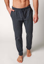 Vorderansicht von einem Herren-Model, das HU odyssey gray check baumwolle Hose lang trägt